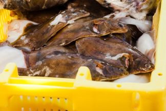 2-kilozak diversen voor een tientje