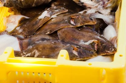 2-kilozak diversen voor een tientje